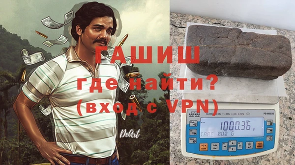 твердый Гусев