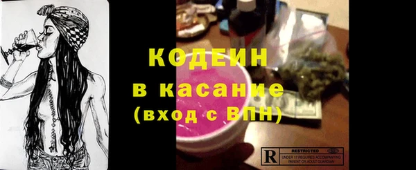 твердый Гусев