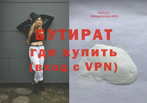 твердый Гусев