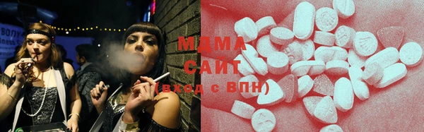 твердый Гусев