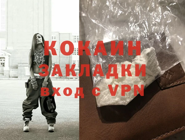 твердый Гусев