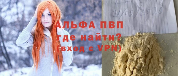 твердый Гусев