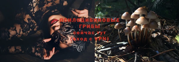 твердый Гусев